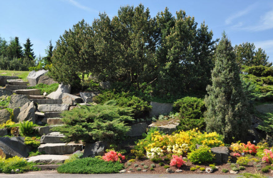 Botanical garden in Łódź, Łódź, Poland, Poland